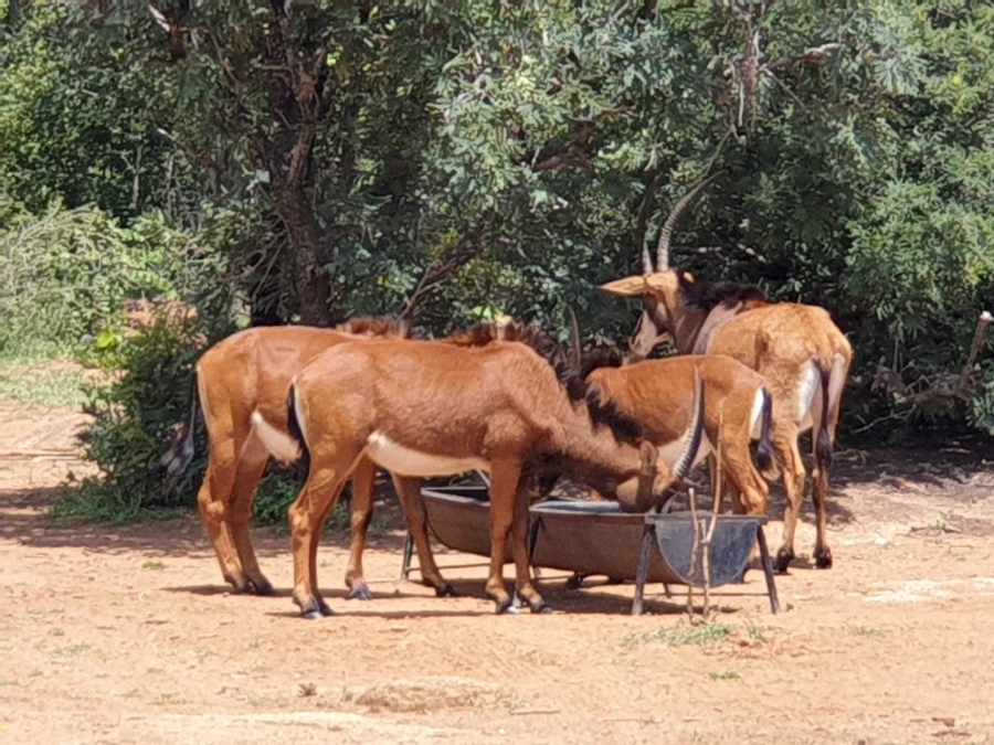 4 Bedroom Property for Sale in Brits Rural North West